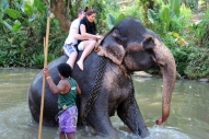 Elefanten Safari_26